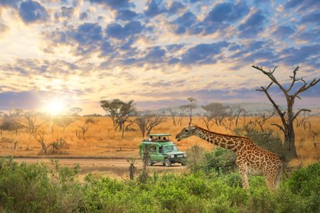 How to Prepare for Your First African Safari