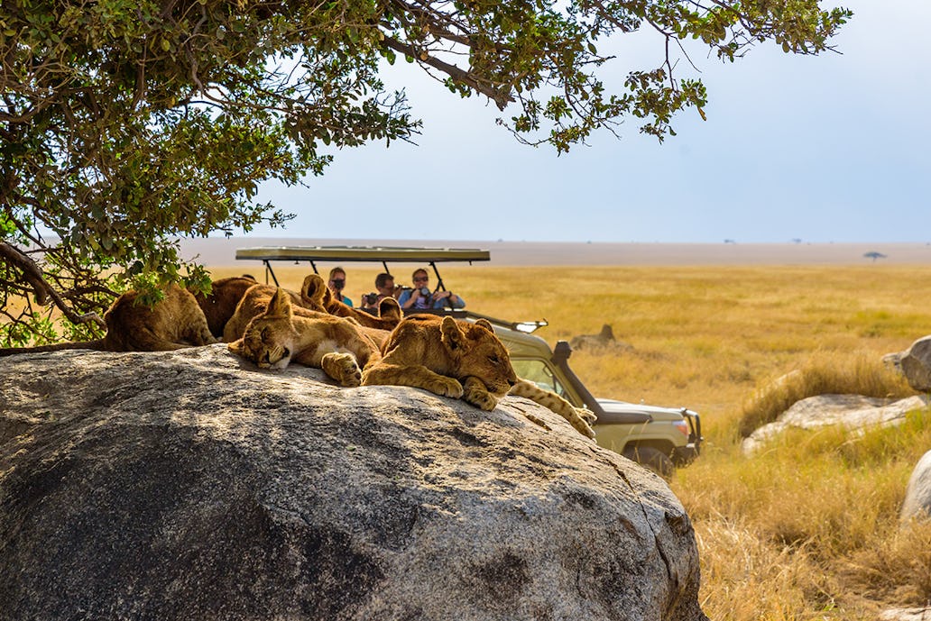 Day 02: Arusha to Tarangire National Park