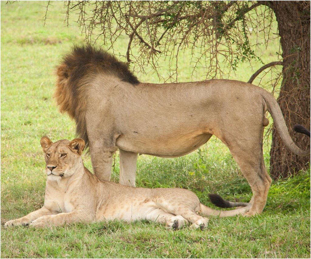 Day 06: Lake Natron to Arusha
