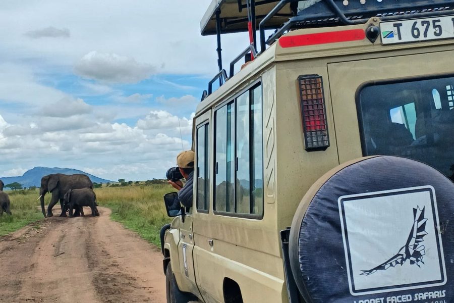 5-Day Luxury Northern Circuit Safari