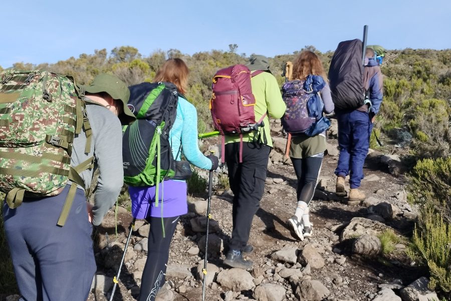 Trekking Kilimanjaro 8 days Lemosho route.